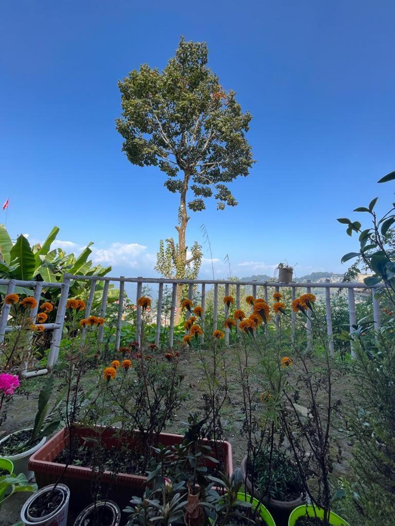 Darjeeling Bnb Екстериор снимка